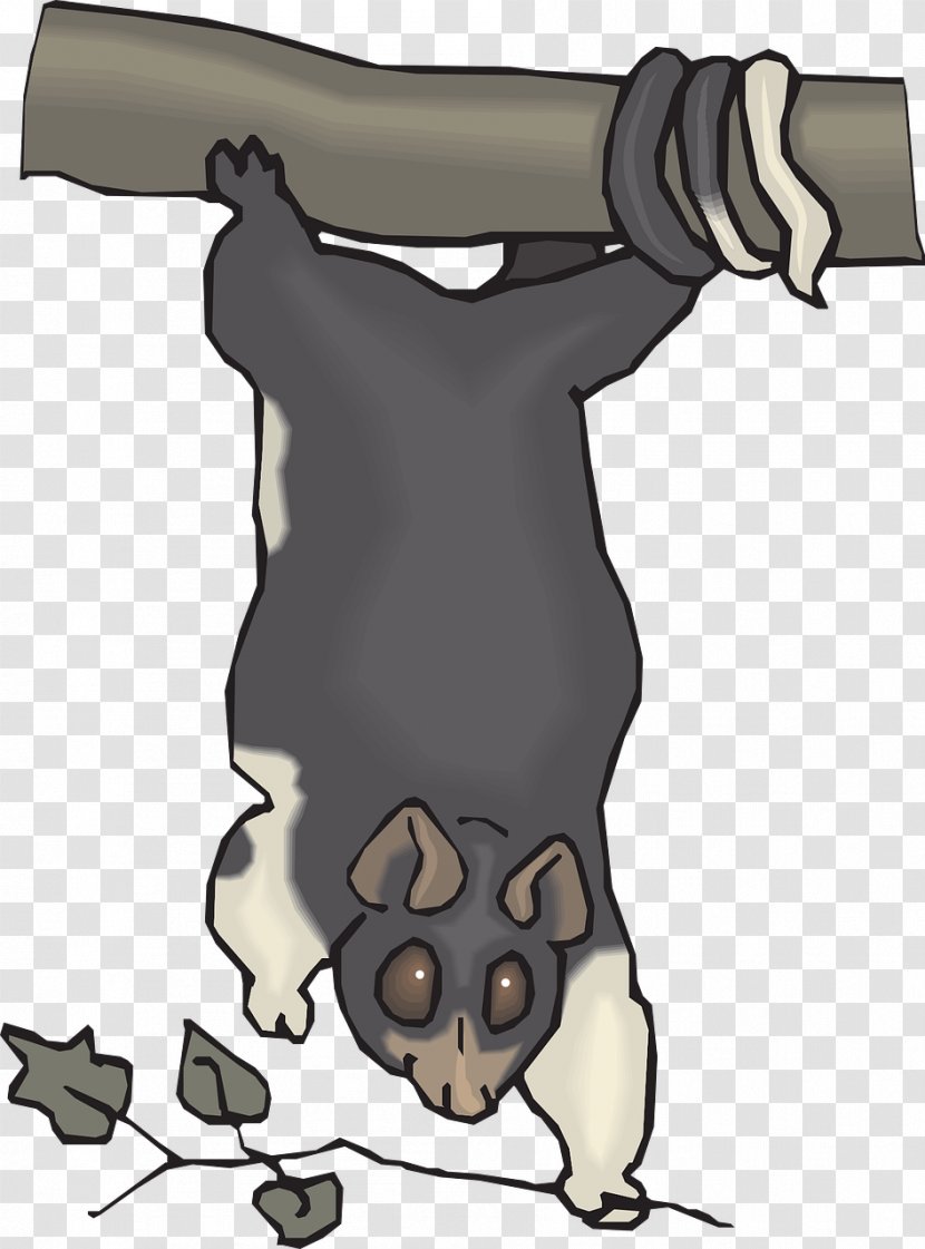 Dog Clip Art - Mammal - Grey Koala Transparent PNG