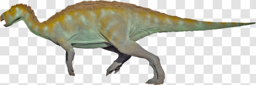 Velociraptor Tyrannosaurus Camptosaurus Moab Giants Iguanodon - Terrestrial Animal - 3d Dinosaur Transparent PNG