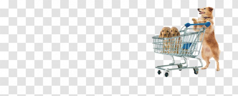 Shopping Cart Shoe - Northern Inuit Dog Transparent PNG