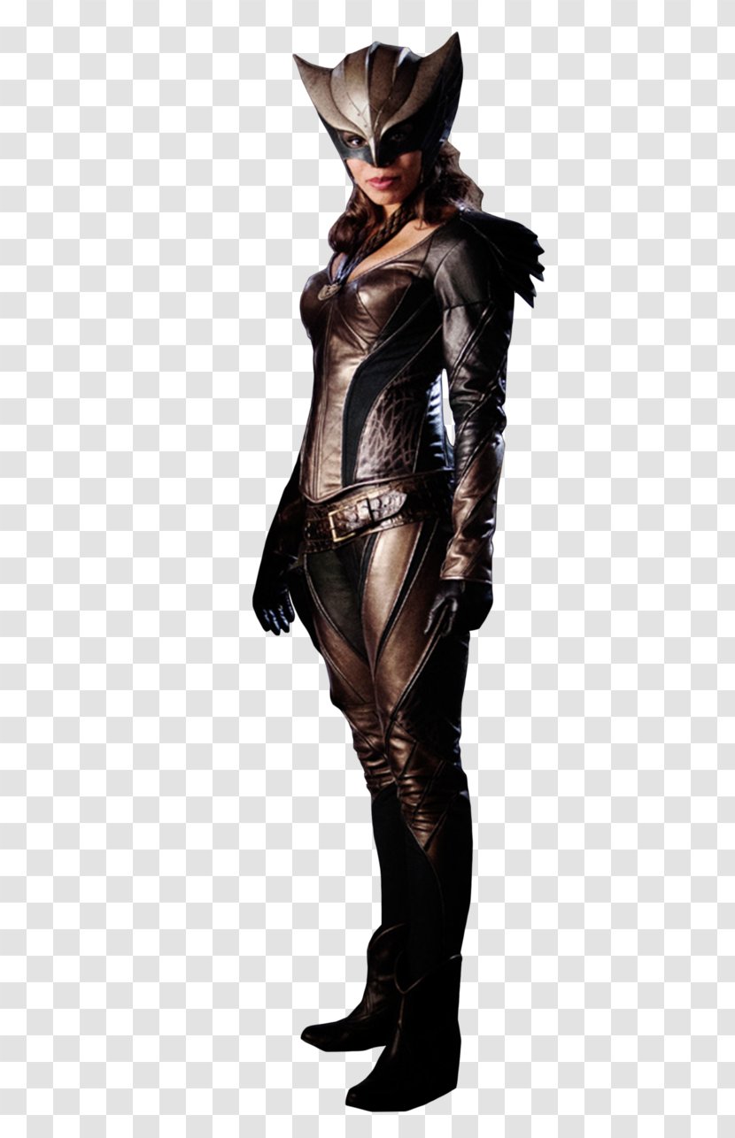 Hawkgirl Hawkman (Katar Hol) Diana Prince - Frame Transparent PNG