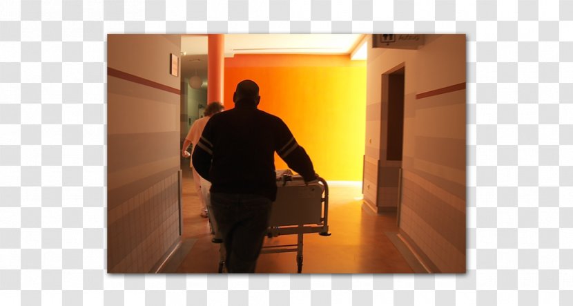 Germany Hospital Documentary Film Information - Flooring - Seif Transparent PNG