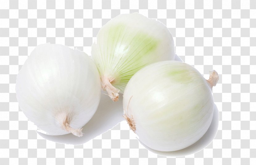 Garlic Yellow Onion Shallot Vegetable White Transparent PNG