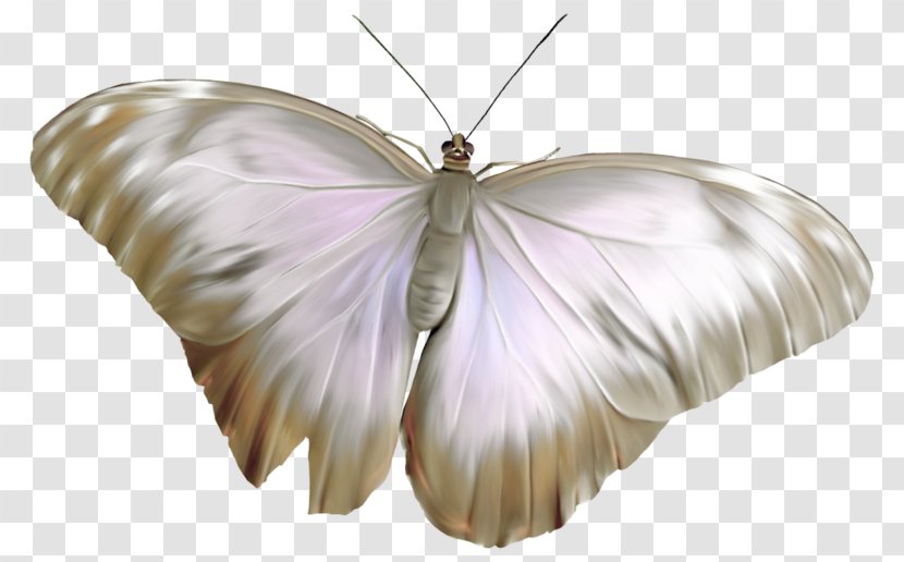 Butterfly Moth Painting Borboleta - Creative Watercolor Transparent PNG