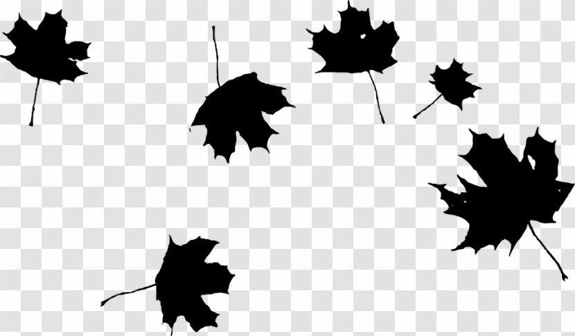 Autumn Leaf Color Clip Art - Black And White - Autumnblackandwhite Transparent PNG