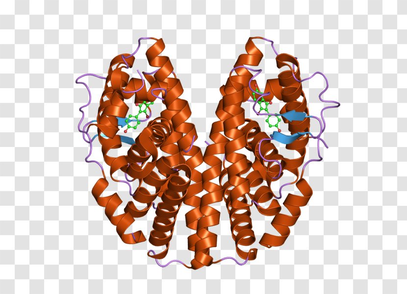 Estrogen Receptor Alpha Crystal Structure Nuclear Transparent PNG
