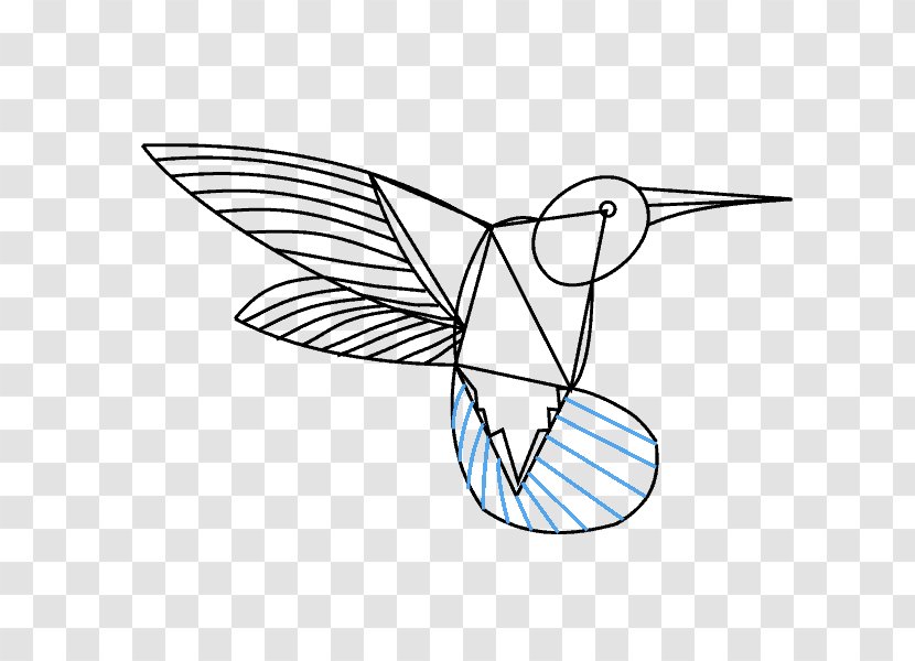 Hummingbird Drawing Line Art Painting Clip - Monochrome Transparent PNG