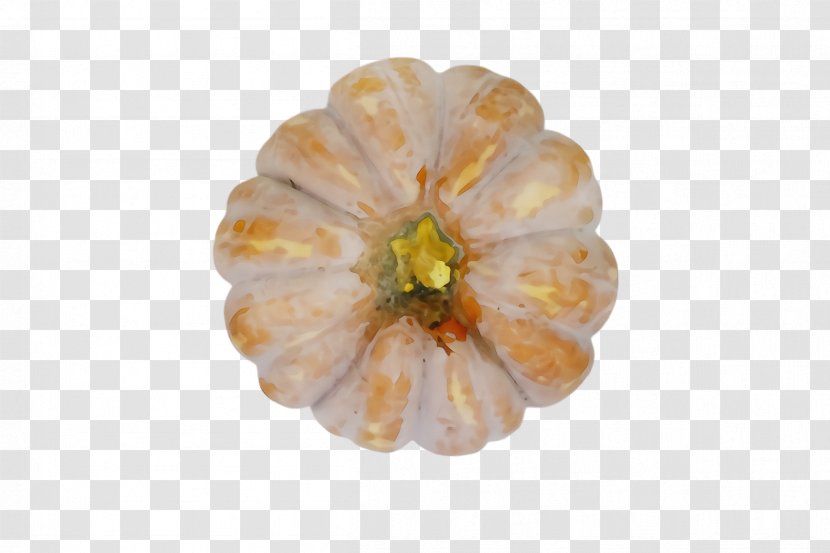 Orange - Watercolor - Flowering Plant Fruit Transparent PNG