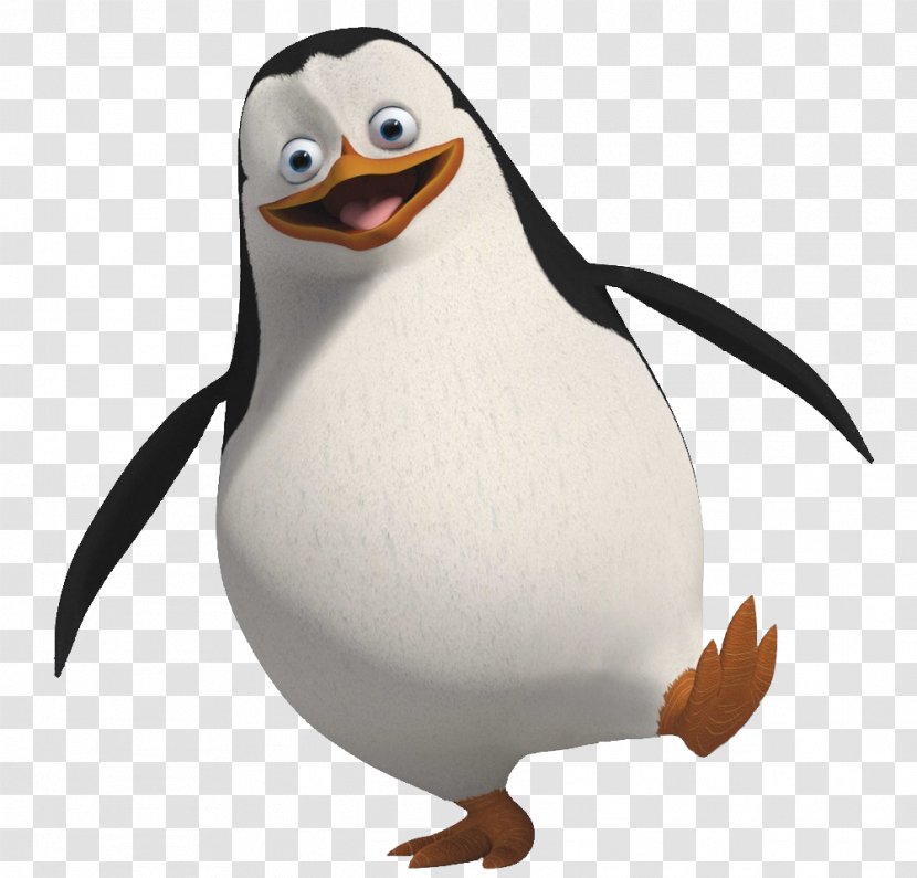 Penguin Madagascar Wallpaper - Skipper - Image Transparent PNG