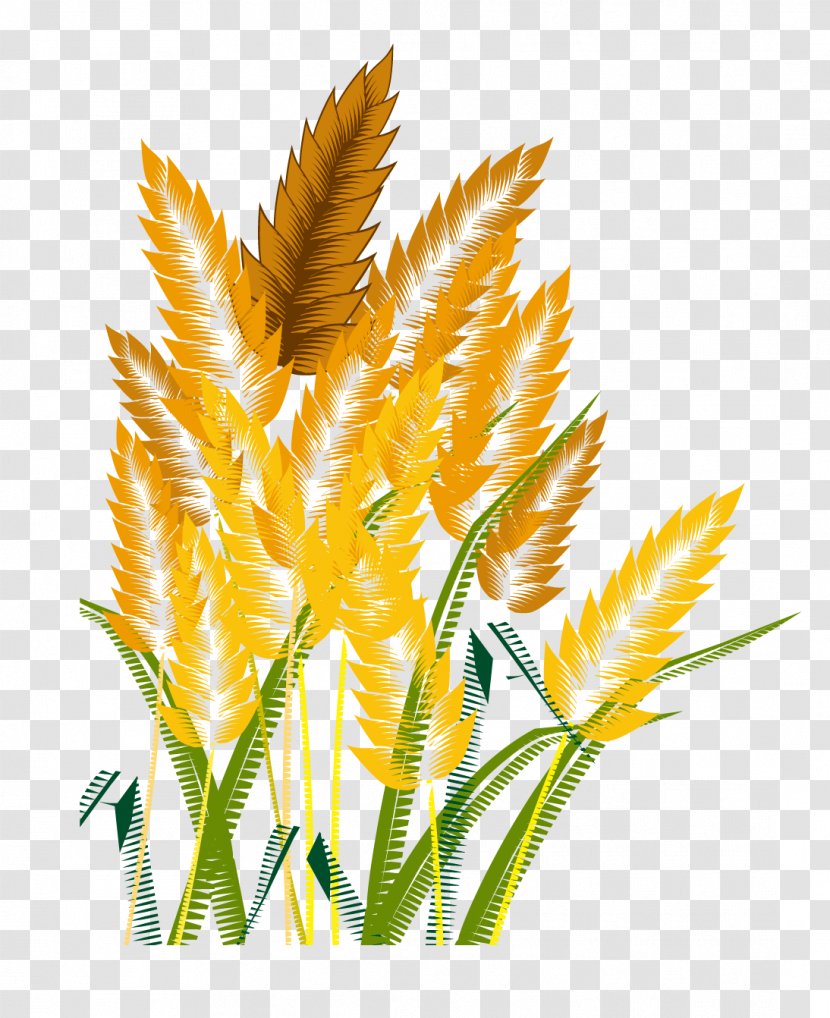 Crop Icon - Leaf - Wheat Transparent PNG