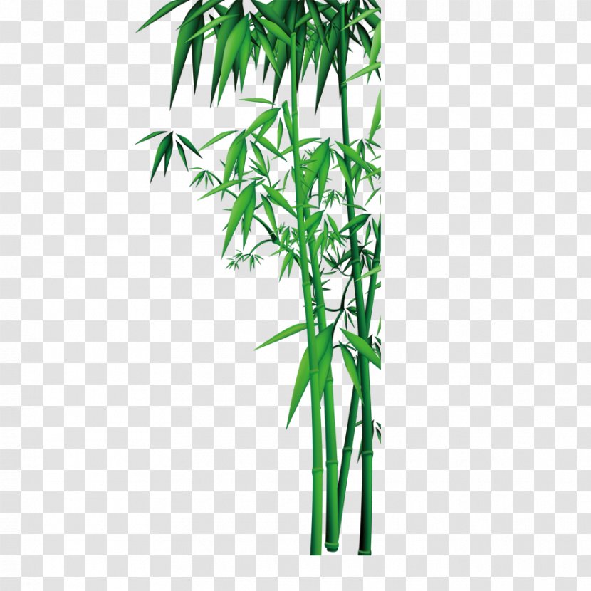 Bamboo Download - Grass Transparent PNG