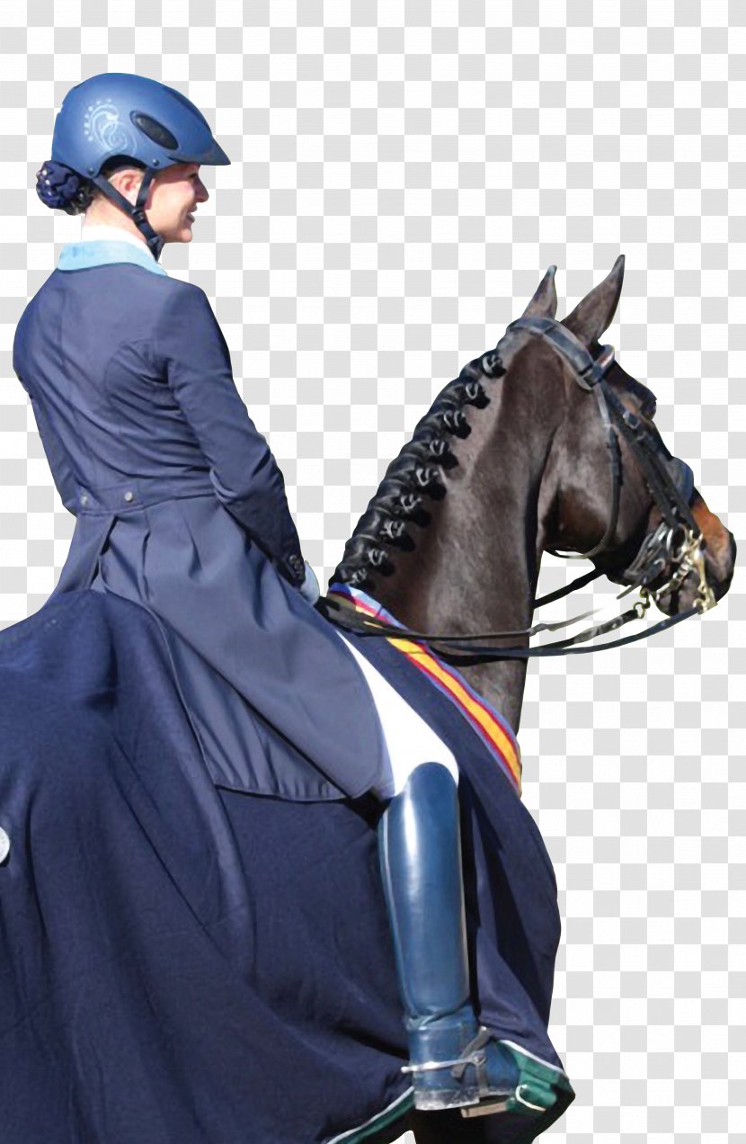 Horse Dressage Equestrian Helmets UVEX - Stallion - Kane Transparent PNG