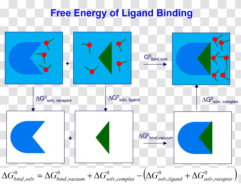 Scoring Functions For Docking Solvation Ligand Energy Transparent PNG