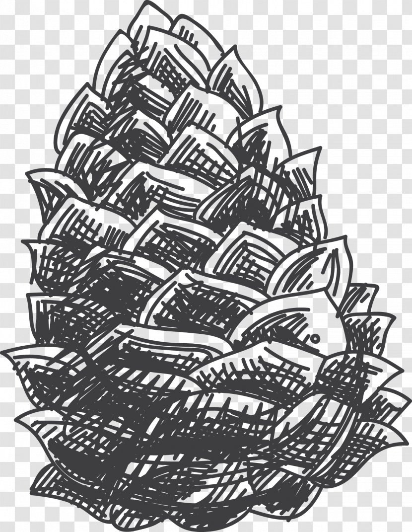 Drawing Black And White Croquis Sketch - Visual Arts - Vector Painted Pinecone Transparent PNG
