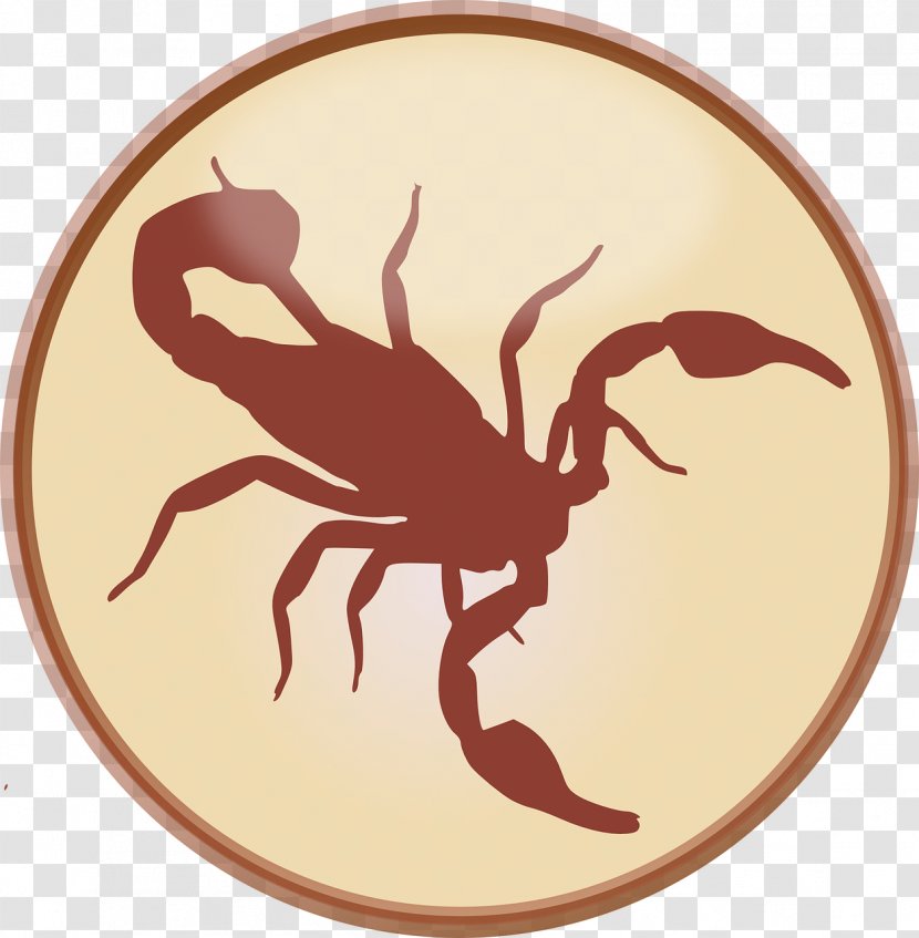 Scorpion Clip Art - Arachnid - Crab Transparent PNG