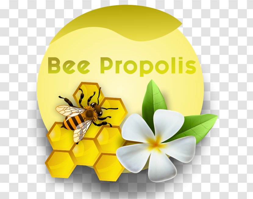 Honey Bee Desktop Wallpaper Flowering Plant - Propolis Transparent PNG