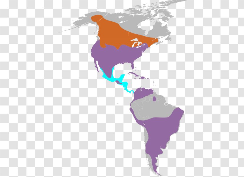 United States South America World Map Transparent PNG