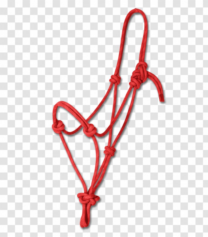 Horse Halter Stable Equestrian Blue - Red Rope Transparent PNG