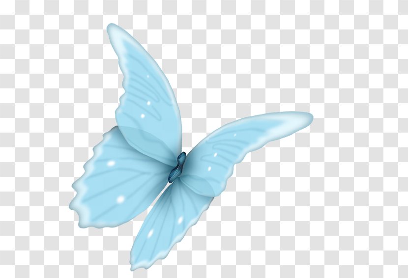 Butterfly Blue Wing Shoelace Knot - Moths And Butterflies Transparent PNG
