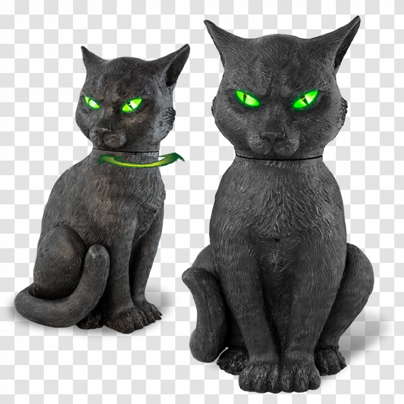 Korat Russian Blue Black Cat Domestic Short-haired Whiskers - Snout - Halloween Cartoon Animals Transparent PNG