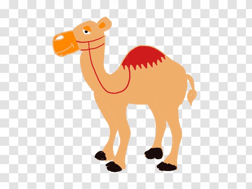 Dromedary Camel Snout Terrestrial Animal Clip Art - Camello Transparent PNG