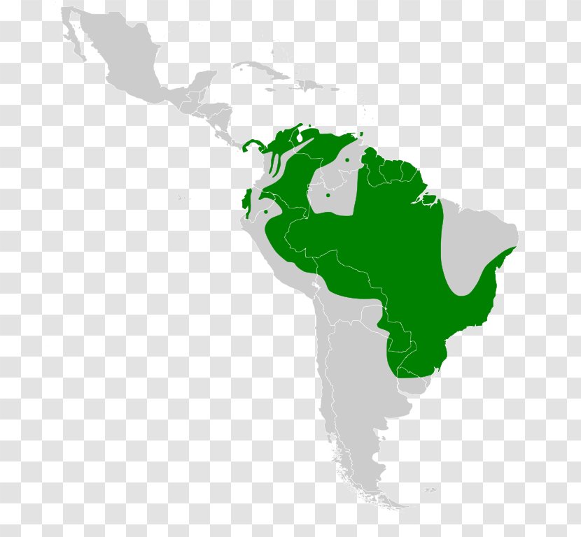 South America Latin United States Blank Map - Reliefkarte - Green Iguana Transparent PNG