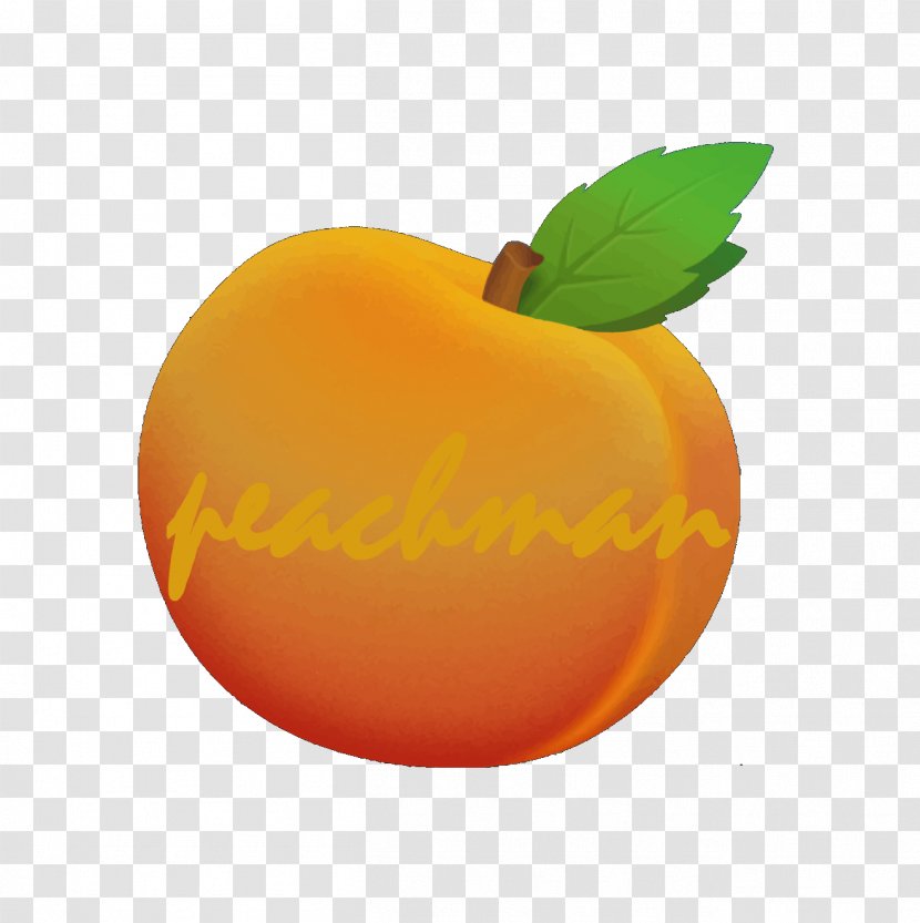 Apple - Fruit - Tangerine Transparent PNG