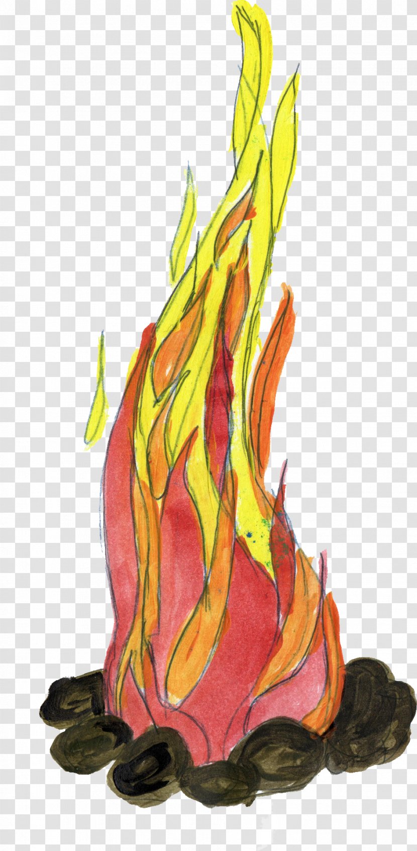 Drawing Flame Fire - Mythical Creature Transparent PNG