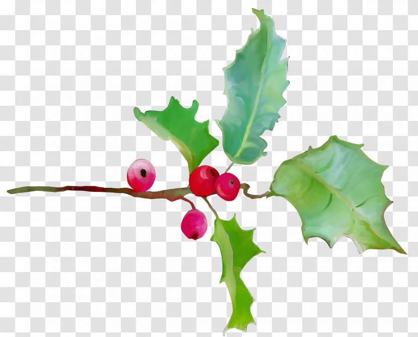 Holly - Currant Plane Transparent PNG