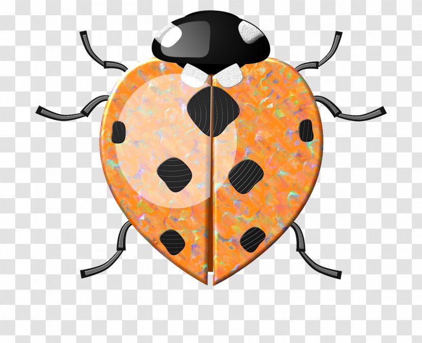 Ladybird Beetle Insect Clip Art - Cartoon Transparent PNG