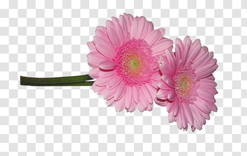 Cut Flowers Clip Art - Google - Flower Transparent PNG