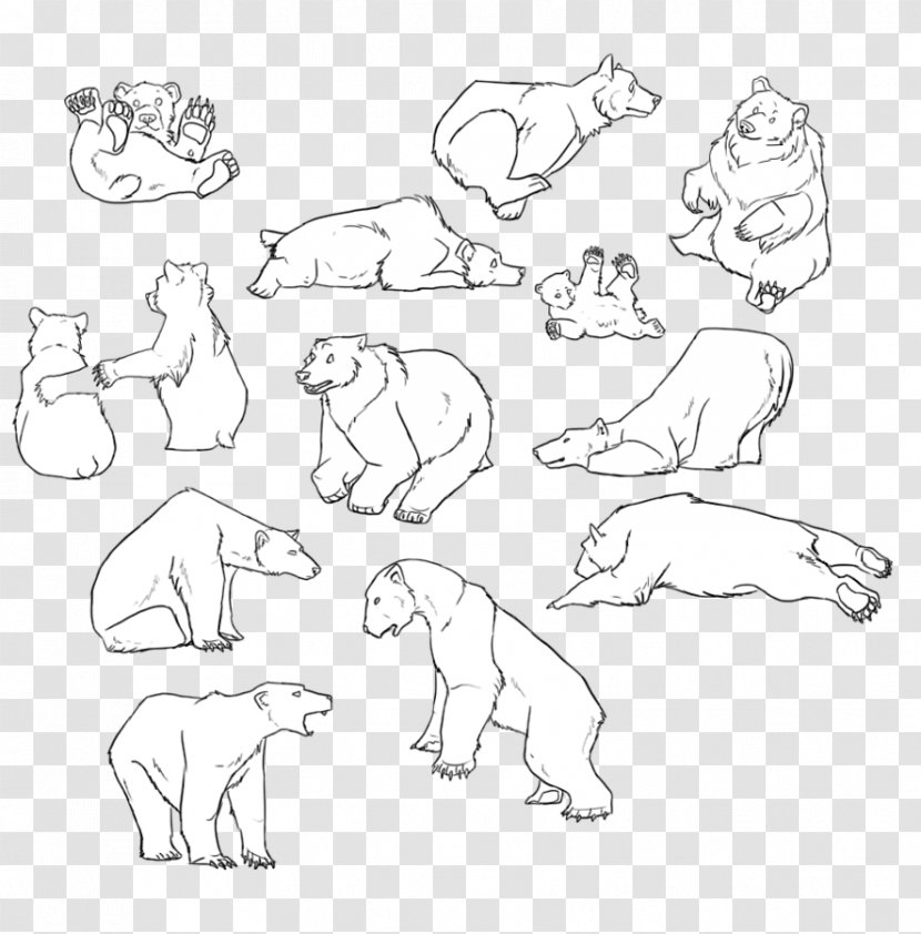 Canidae Dog Line Art Sketch - Vertebrate - Bear Outline Transparent PNG