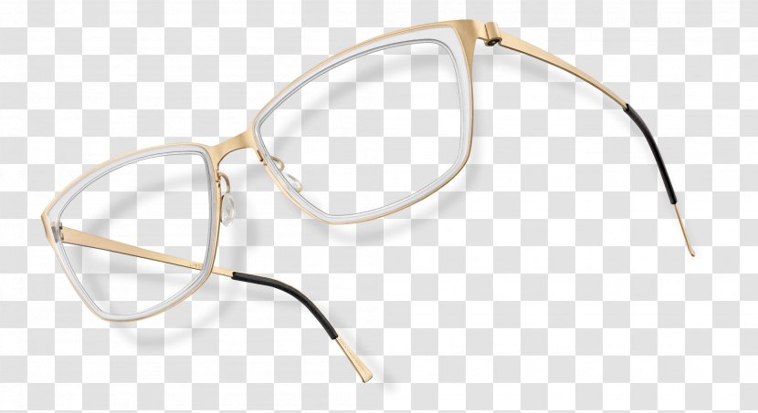 Goggles Óptica Rapp Sunglasses Titanium - Fashion Accessory - Glasses Transparent PNG