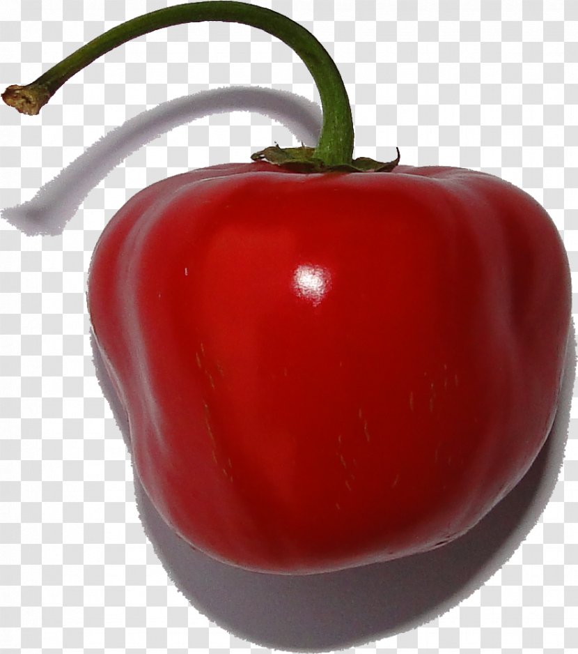 Habanero Bell Pepper Chili Peperoncino Pungency - Peppers - Hot Transparent PNG