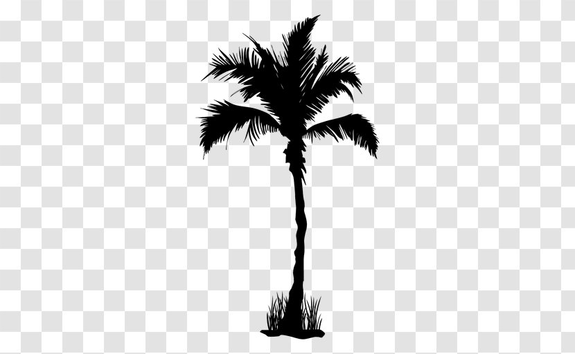 Arecaceae Tree Clip Art - Oil Palms - Coconut Trees Transparent PNG