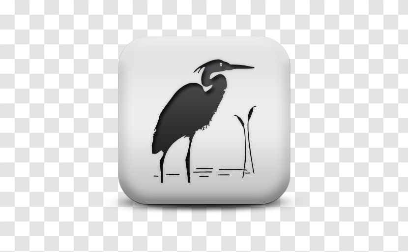 Great Blue Heron Water Bird - Germany - Beak Transparent PNG