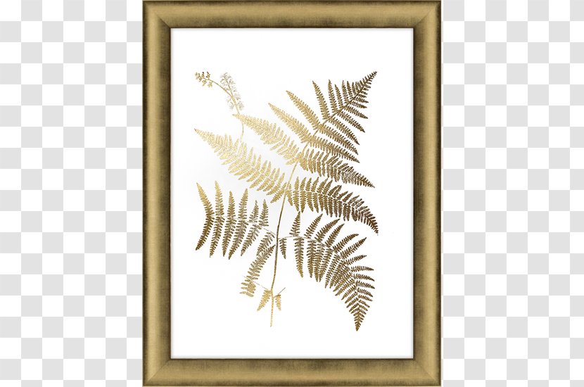 Picture Frames Gold Leaf Fern Art - Printing Transparent PNG