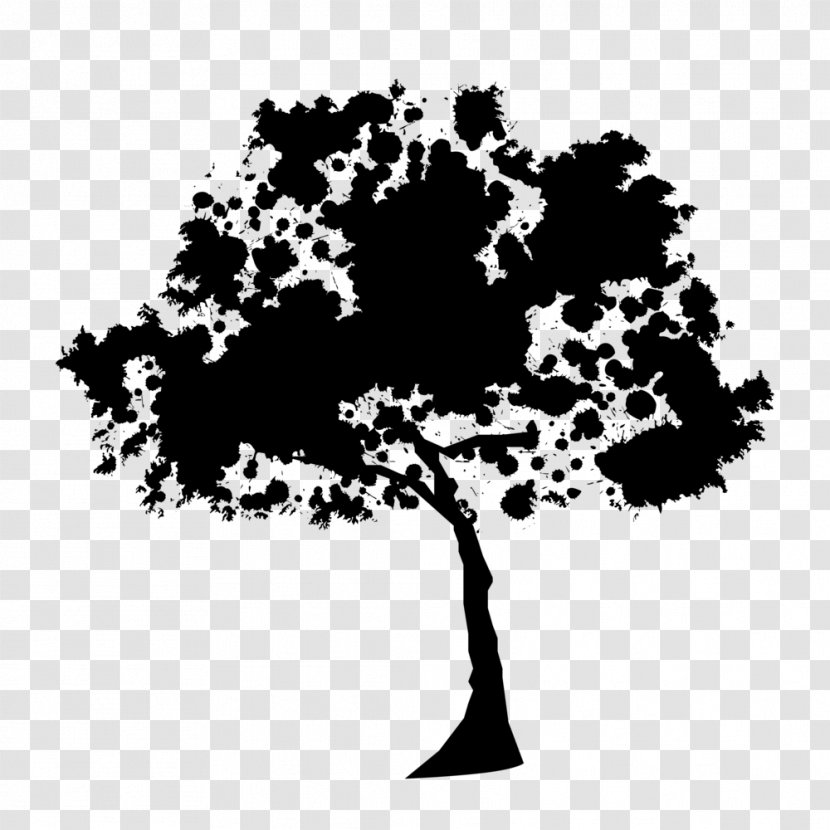Silhouette Tree Oak - Woody Plant Transparent PNG