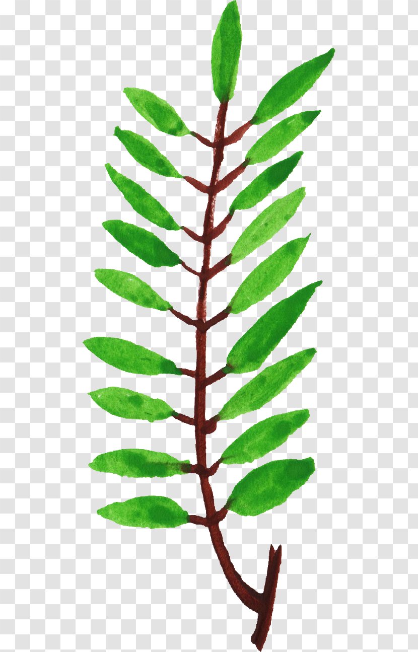 Leaf Plant Stem Twig Branch Clip Art - Watercolor Painting - Leaves Transparent PNG