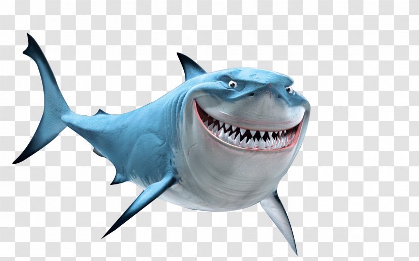 Bruce Nemo Drawing Marlin YouTube - Finding - Youtube Transparent PNG