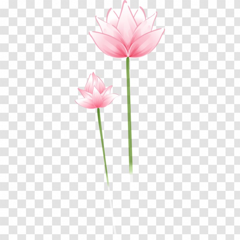 Drawing Download - Concepteur - Painted Pink Lotus Transparent PNG