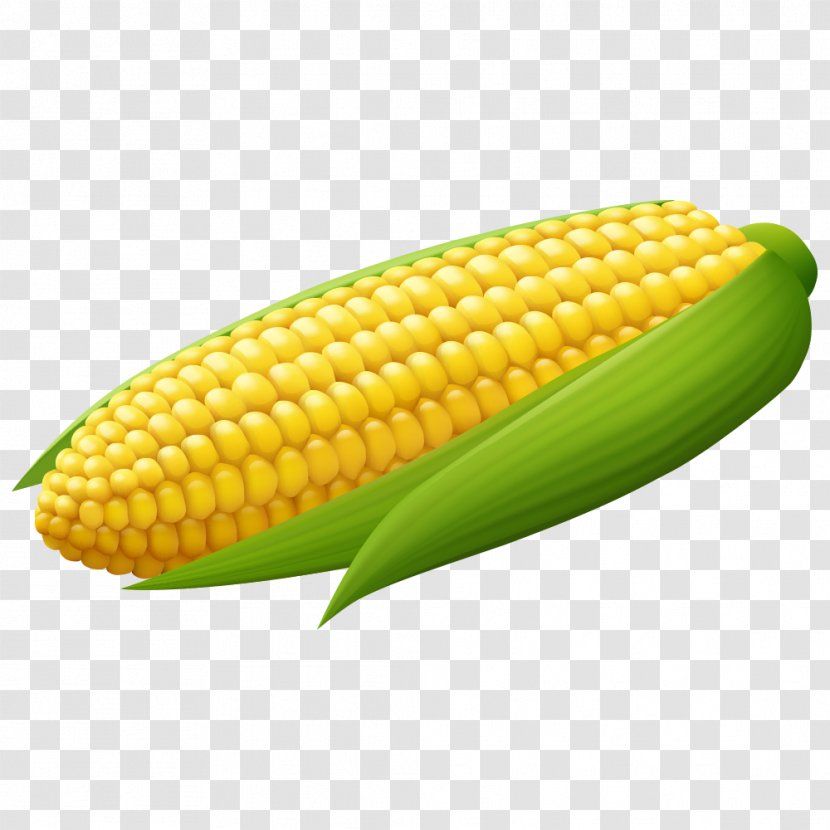 Corn On The Cob Maize - Vegetable Transparent PNG