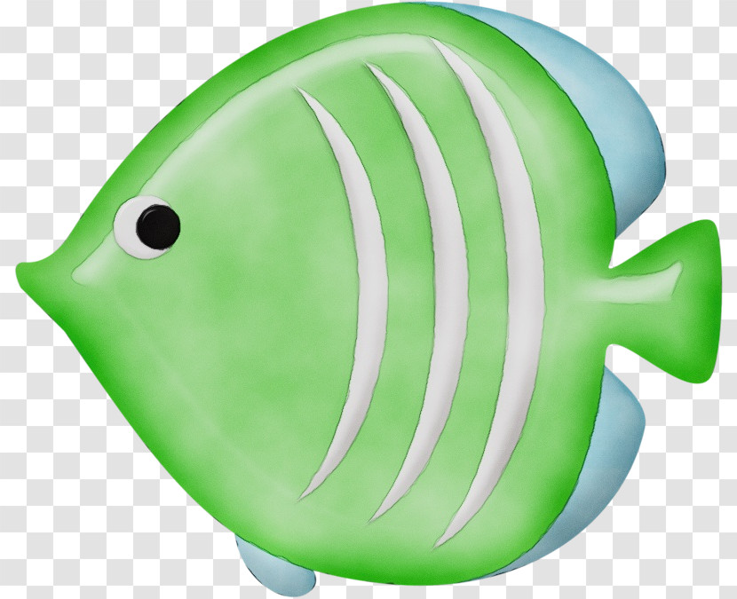Fish Green Plastic Science Biology Transparent PNG