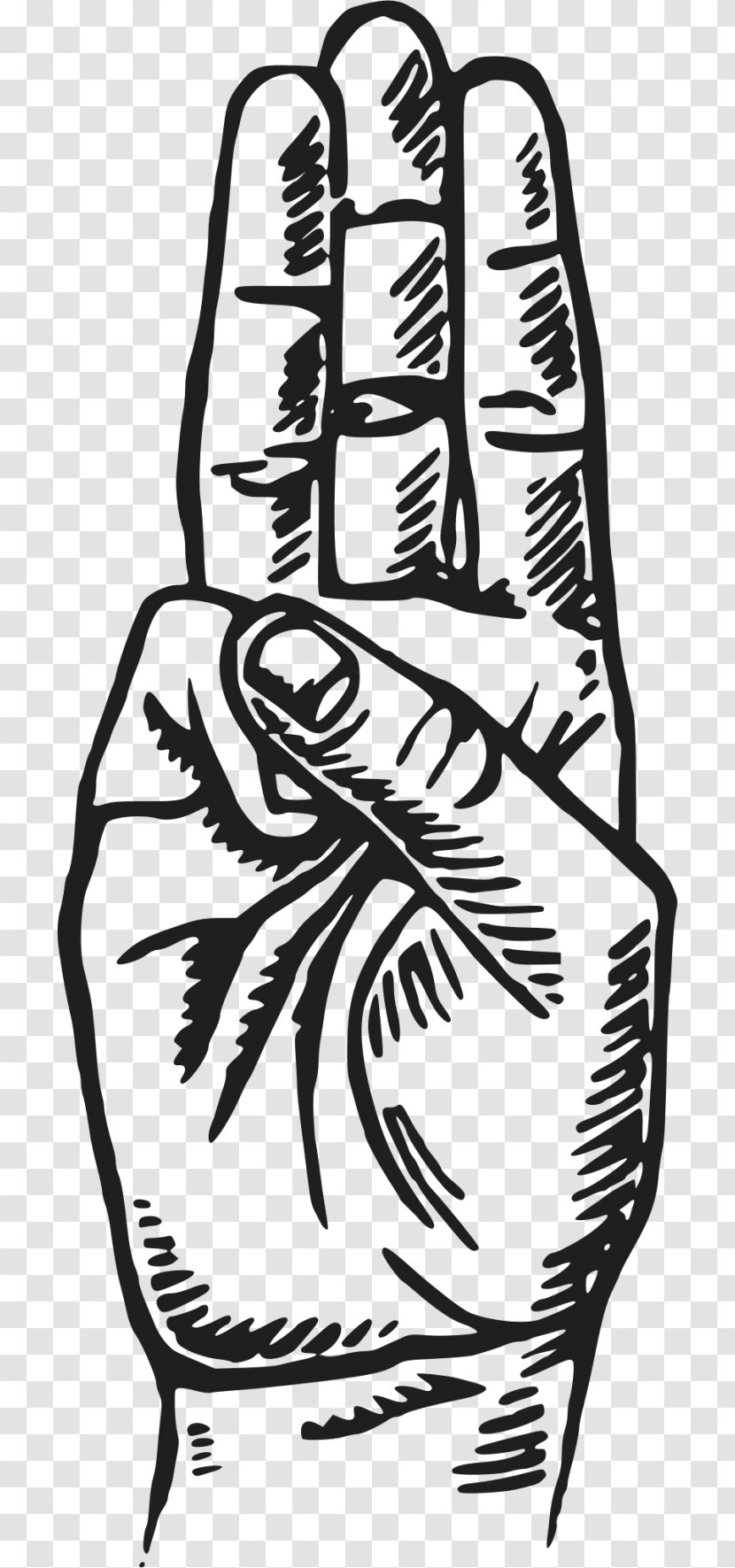 Scout Sign And Salute Scouting Promise The Association Cub Art Arm 