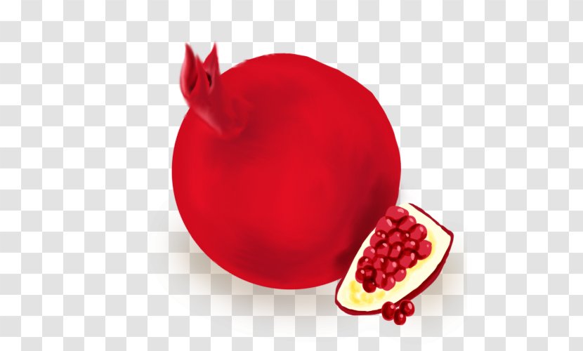 Pomegranate Juice Food Cranberry - Still Life Transparent PNG