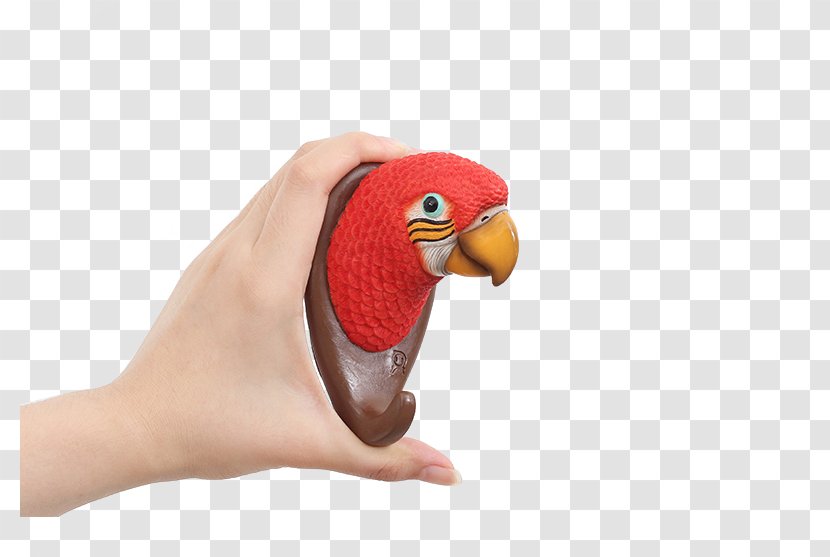 Parrot Download - Thumb - Hook Decorative Hand Transparent PNG