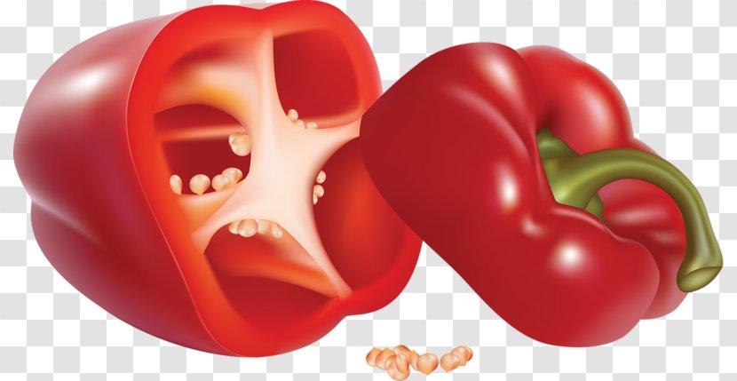 Chili Con Carne Bell Pepper Clip Art - Flower Transparent PNG