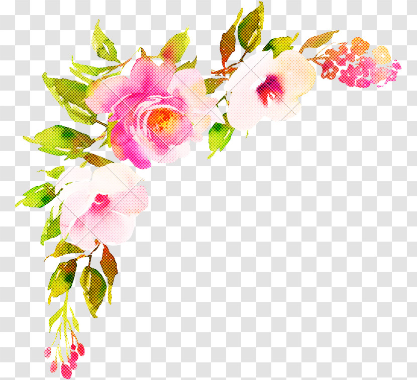 Floral Design Transparent PNG