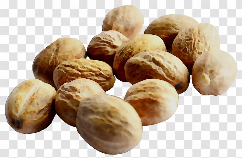 Walnut Pistachio Commodity Superfood - Candlenut Transparent PNG
