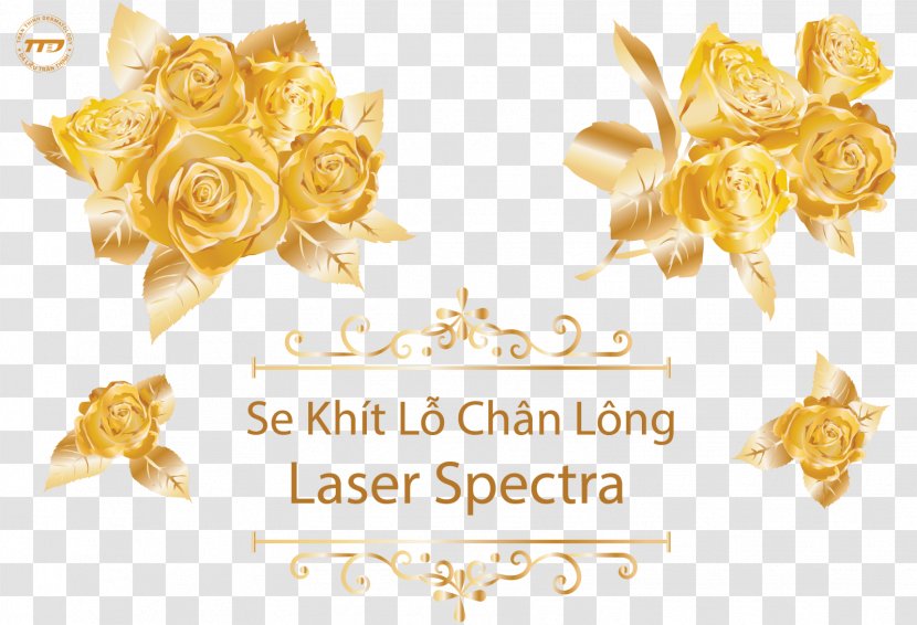Vector Graphics حنابندان Design Rose - Spectra Laser Peel Transparent PNG