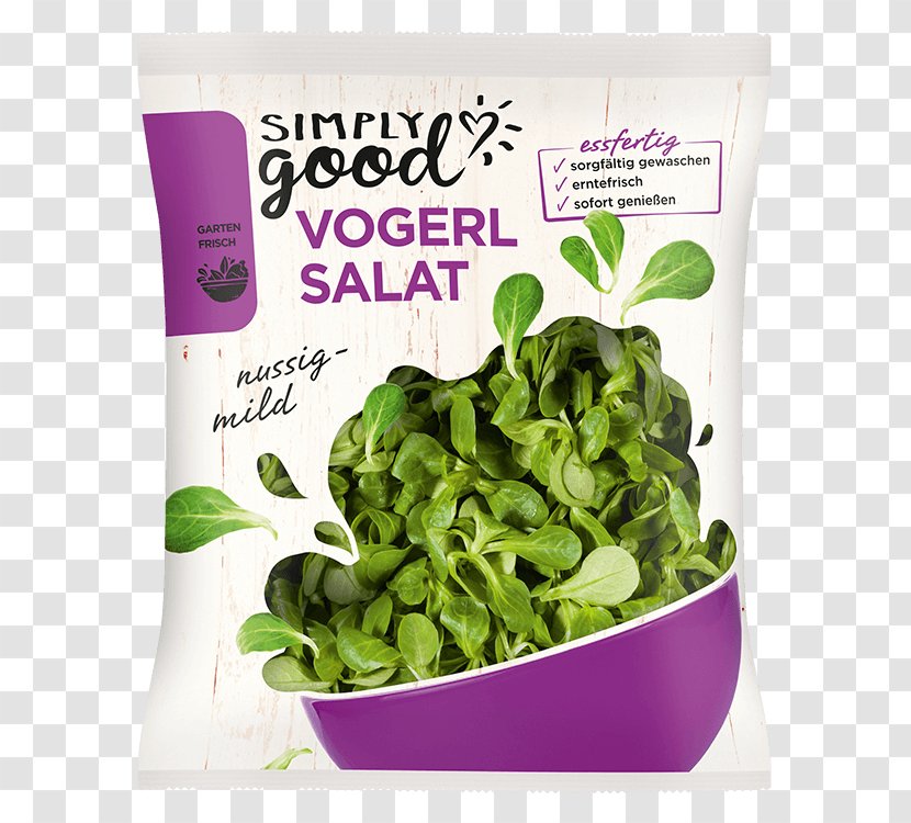 Coleslaw Potato Salad Dressing Butterhead Lettuce - Spring Greens Transparent PNG